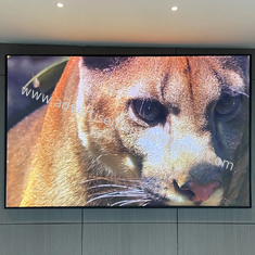 320mmx160mm Ekran LED Reklamowy w pomieszczeniach