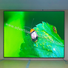 Zindywidualizowany projekt LED Video Walls dla eleganckiego wyrafinowanego wyglądu 100 lat żywotności